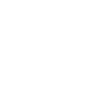 BT logo white