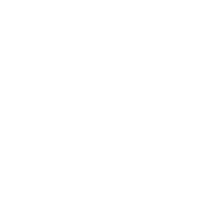 BT Logo White 1